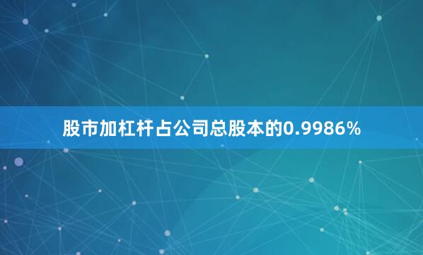 股市加杠杆占公司总股本的0.9986%