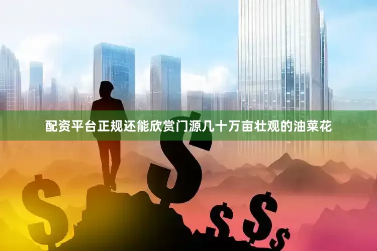 配资平台正规还能欣赏门源几十万亩壮观的油菜花