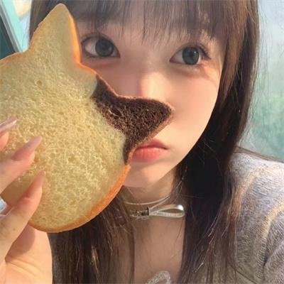 活宝警探