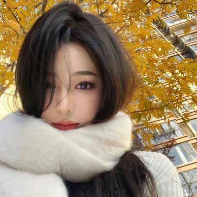 七合圣石战记：银月之翼